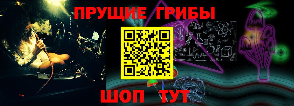 что такое наркотик  Галлюциногенные грибы прущие грибы  Вход с VPN  Галлюциногенные грибы Psilocybine cubensis  Благовещенск 